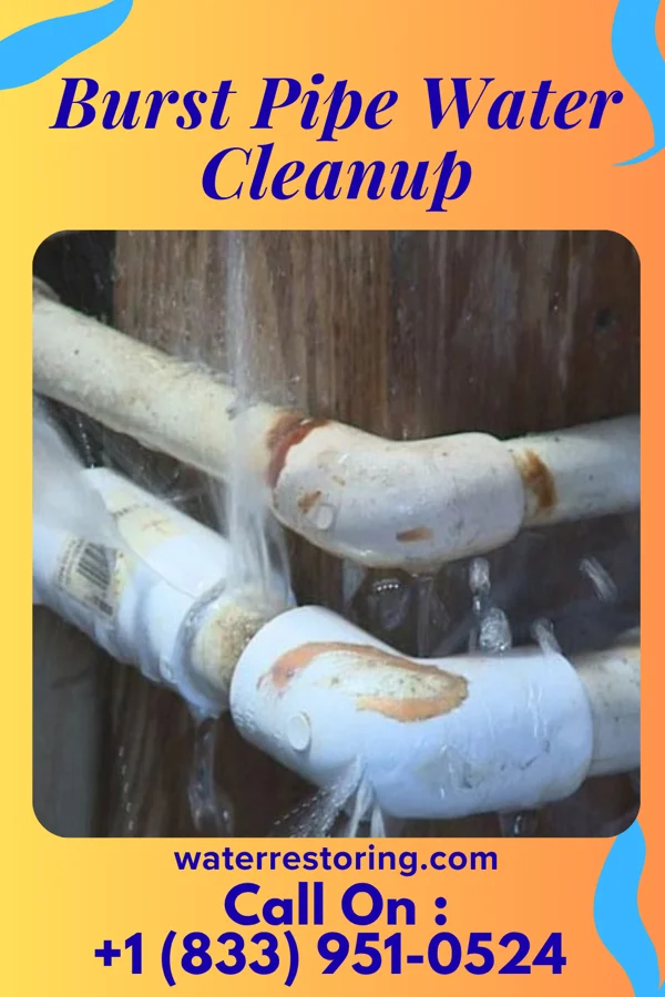 Burst Pipe Water Cleanup in Hudson, NY