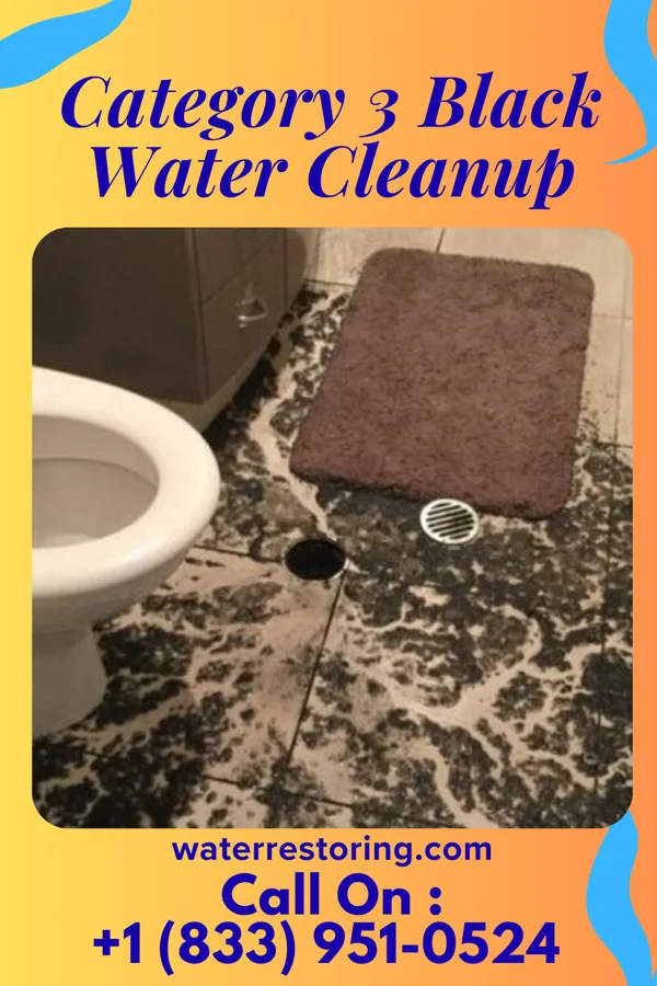 Category 3 Black Water Cleanup in Hudson, NY