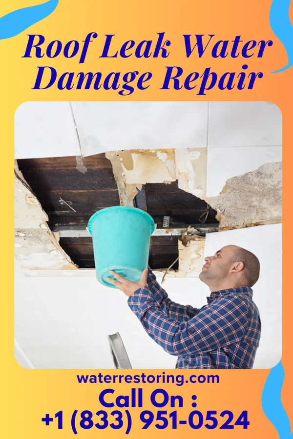 Roof Leak Water Damage Repair in Hudson, NY