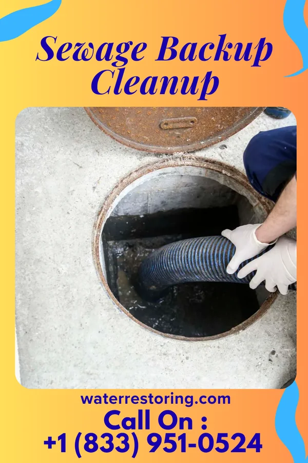 Sewage Backup Cleanup in Hudson, NY