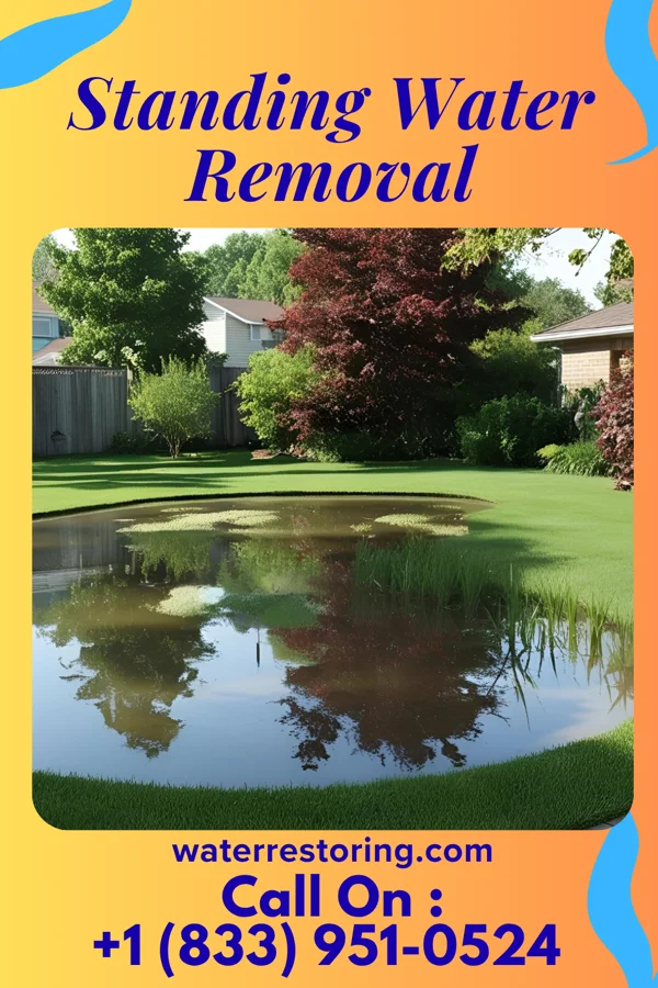 Standing Water Removal in Hudson, NY